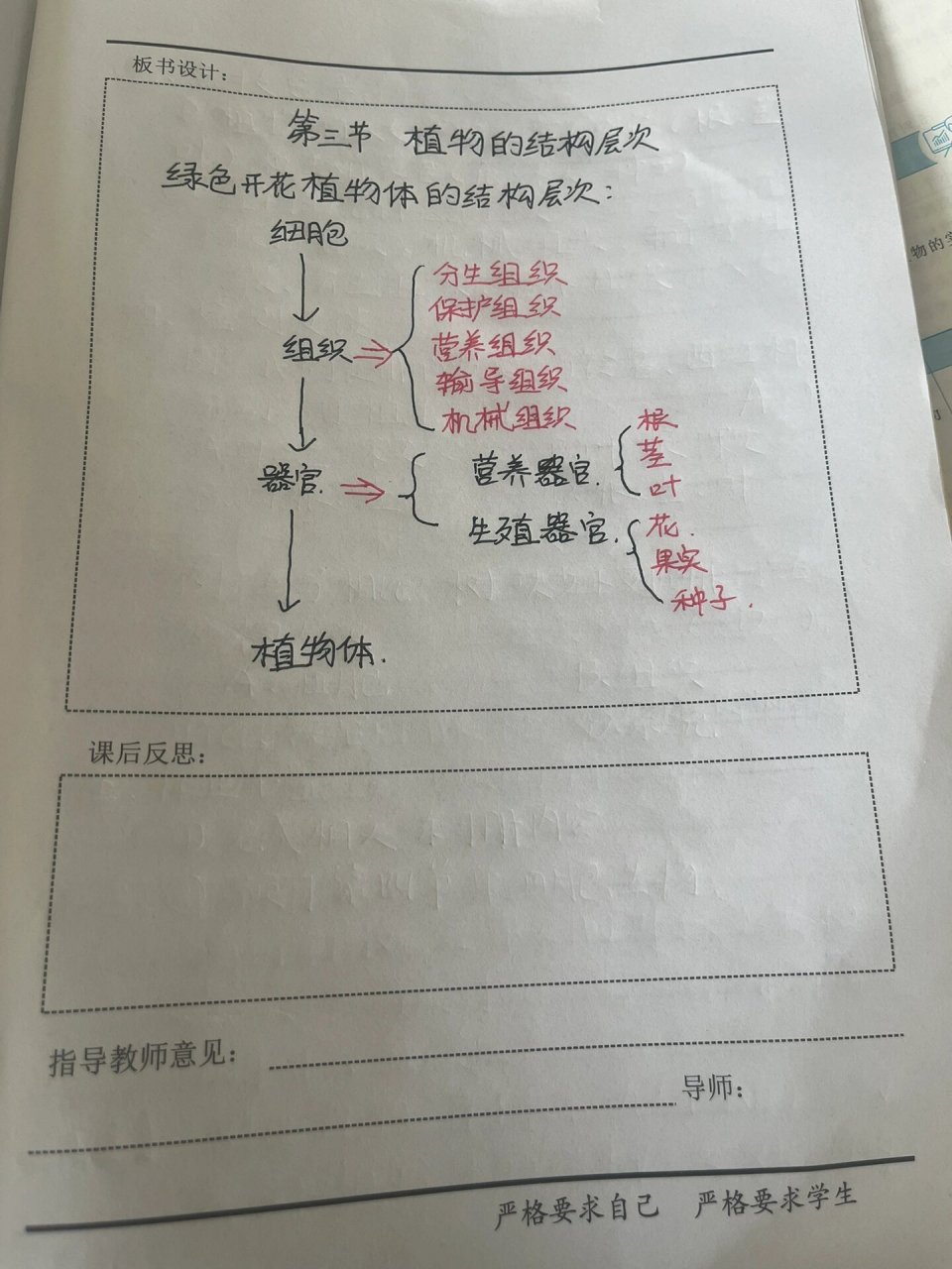 植物结构层次框架图图片