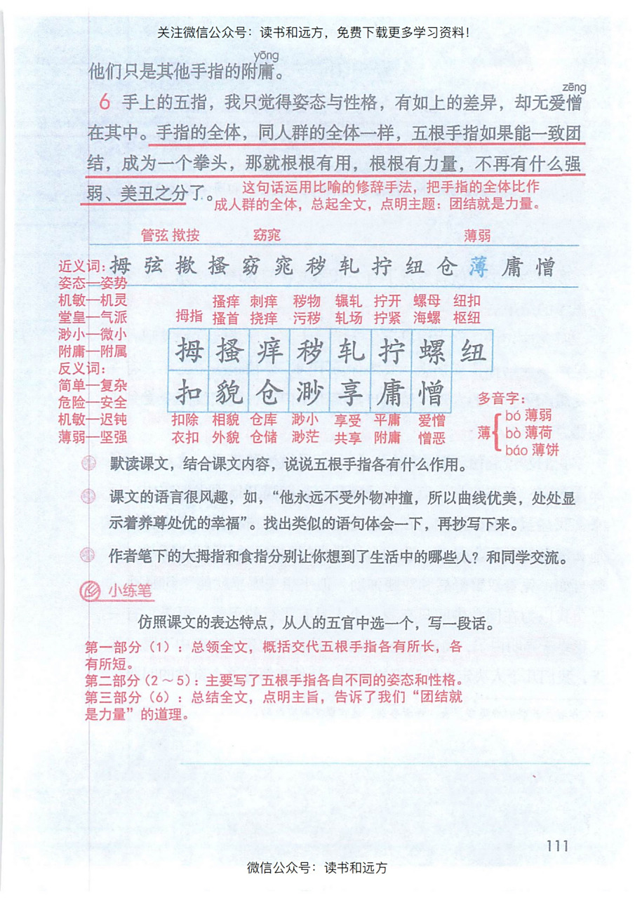 五年级下册第22课《手指》课文笔记 五年级下册第22课《手指》详细