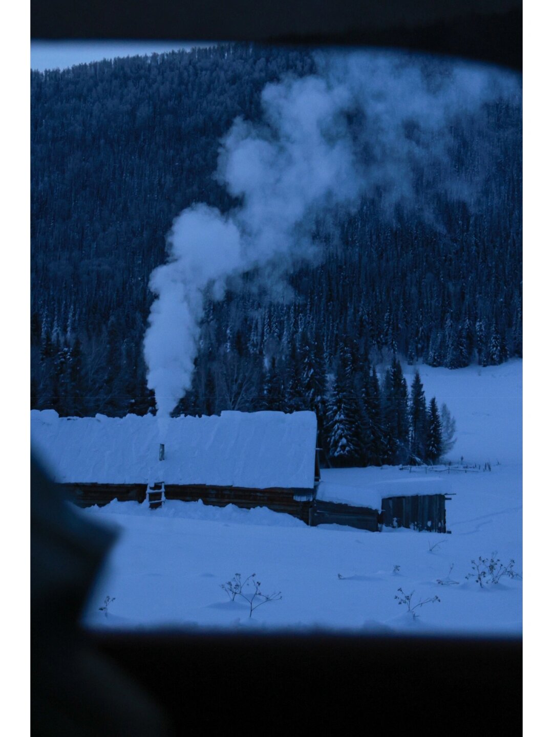 入住雪山森林深处的图瓦小木屋 漫游