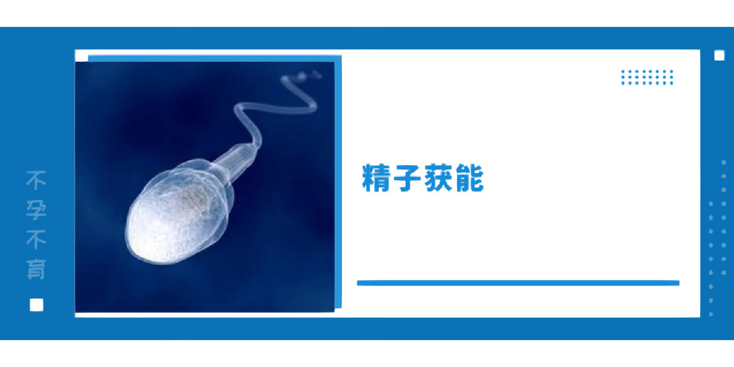 什么叫精子获能?