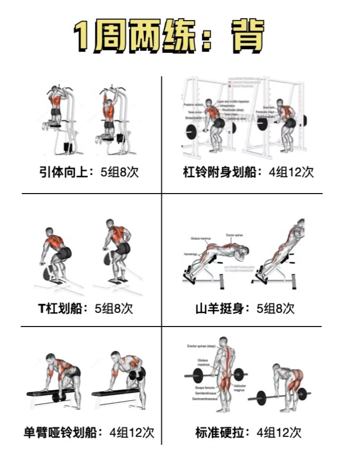 杠铃上提练哪儿肌肉图片