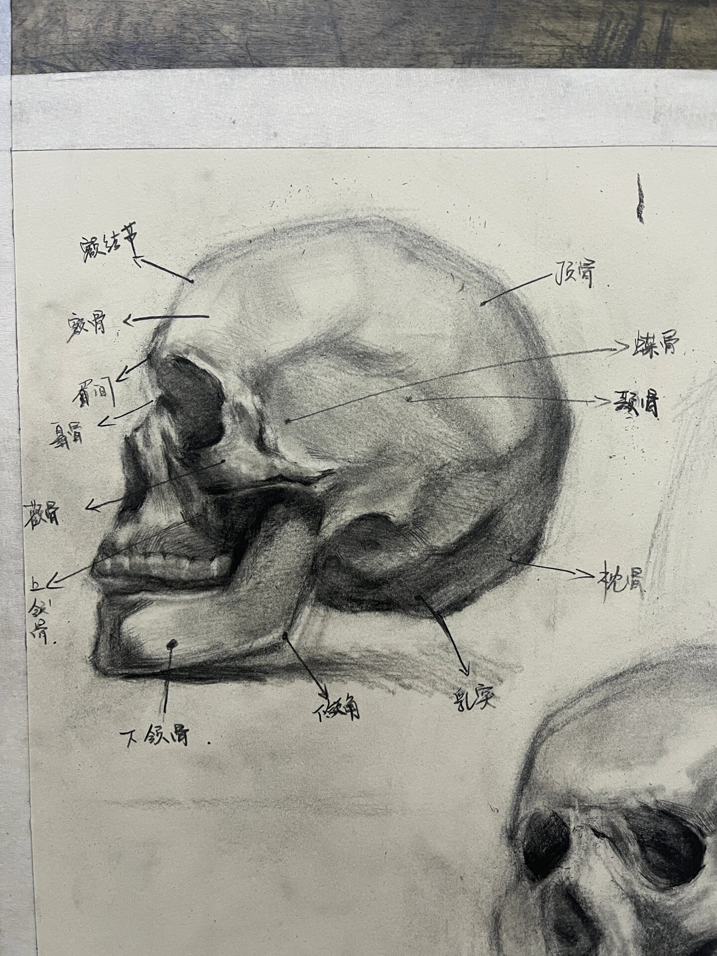 小学生素描 小学生画素描要练这个吗,她说画的好丑
