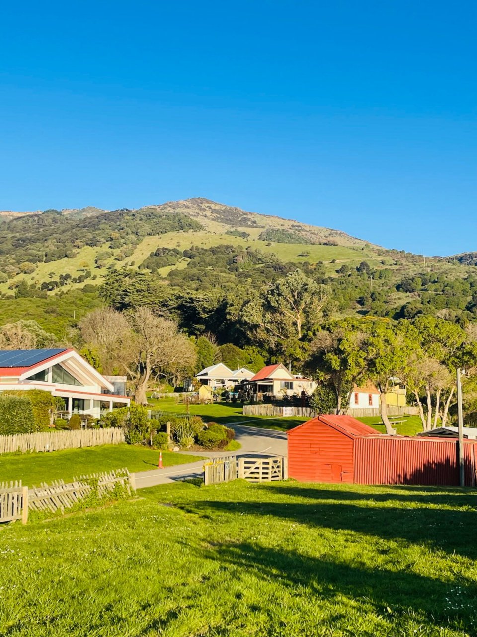 新西兰小镇阿卡罗阿,遗世风景 周末游览小镇——akaroa(阿卡罗阿)