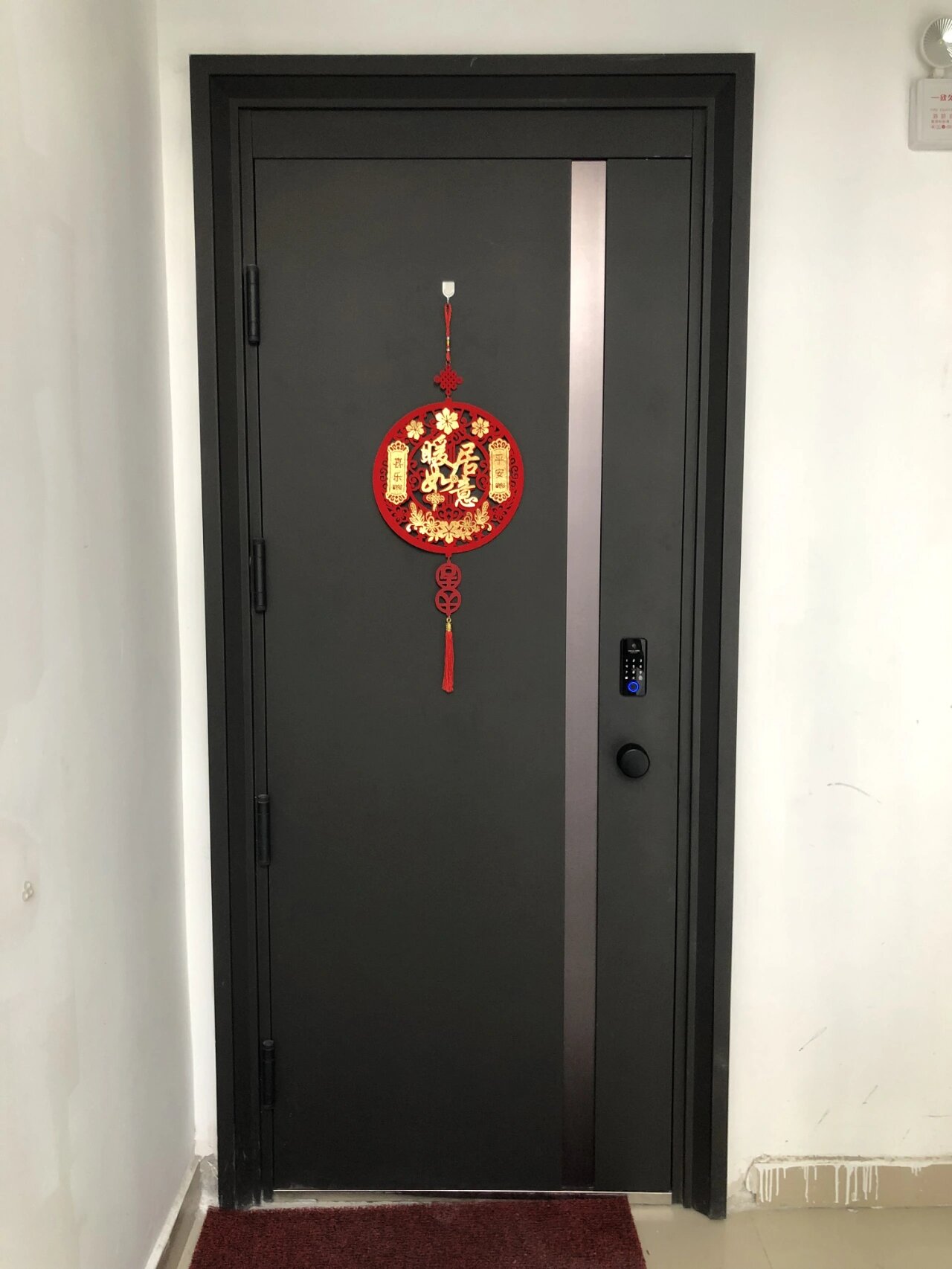 入户门# #我家的门长这样# #防盗门# #智能指纹锁# #福熙双色防盗 