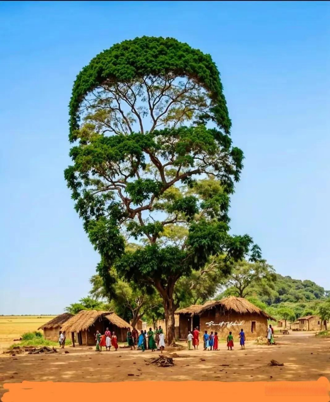 树影婆娑映,人影相映成. 远看是个人,近看是人影!