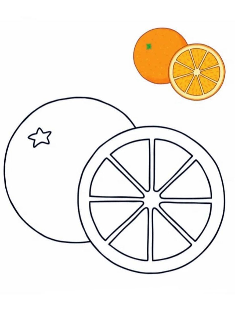 小班美工区涂色      小班水果系列的涂色,锻炼幼儿小肌肉的控制能力