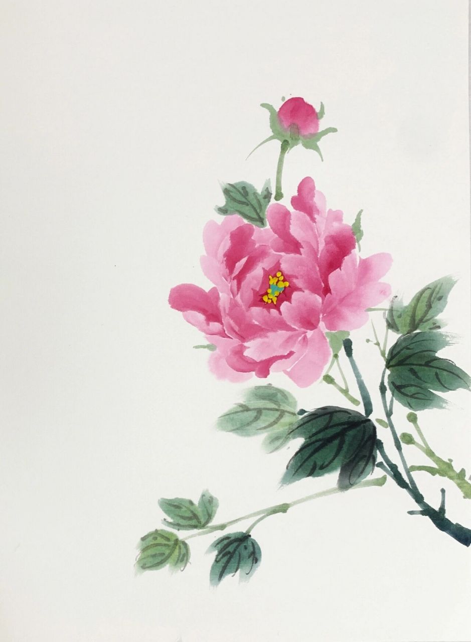 《玉质华容引蝶寻》国画写意牡丹 生宣纸33*46 兼毫毛笔中号,兼毫毛笔