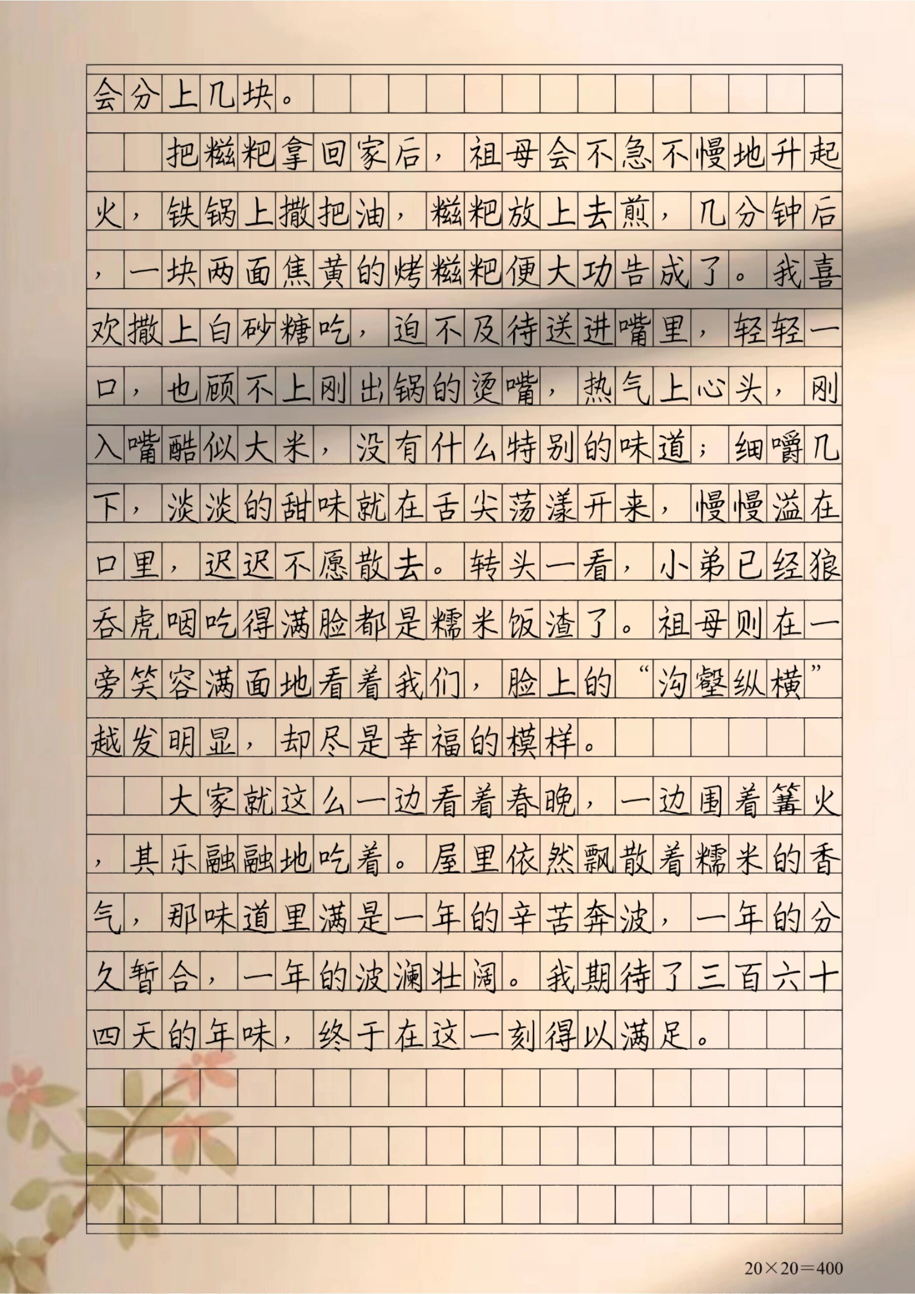 舌尖上的年味作文400字图片