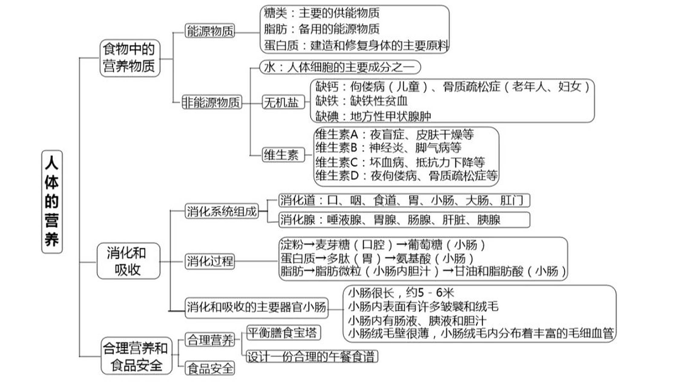 人教版七下生物思维导图 人教版七下生物思维导图知识点