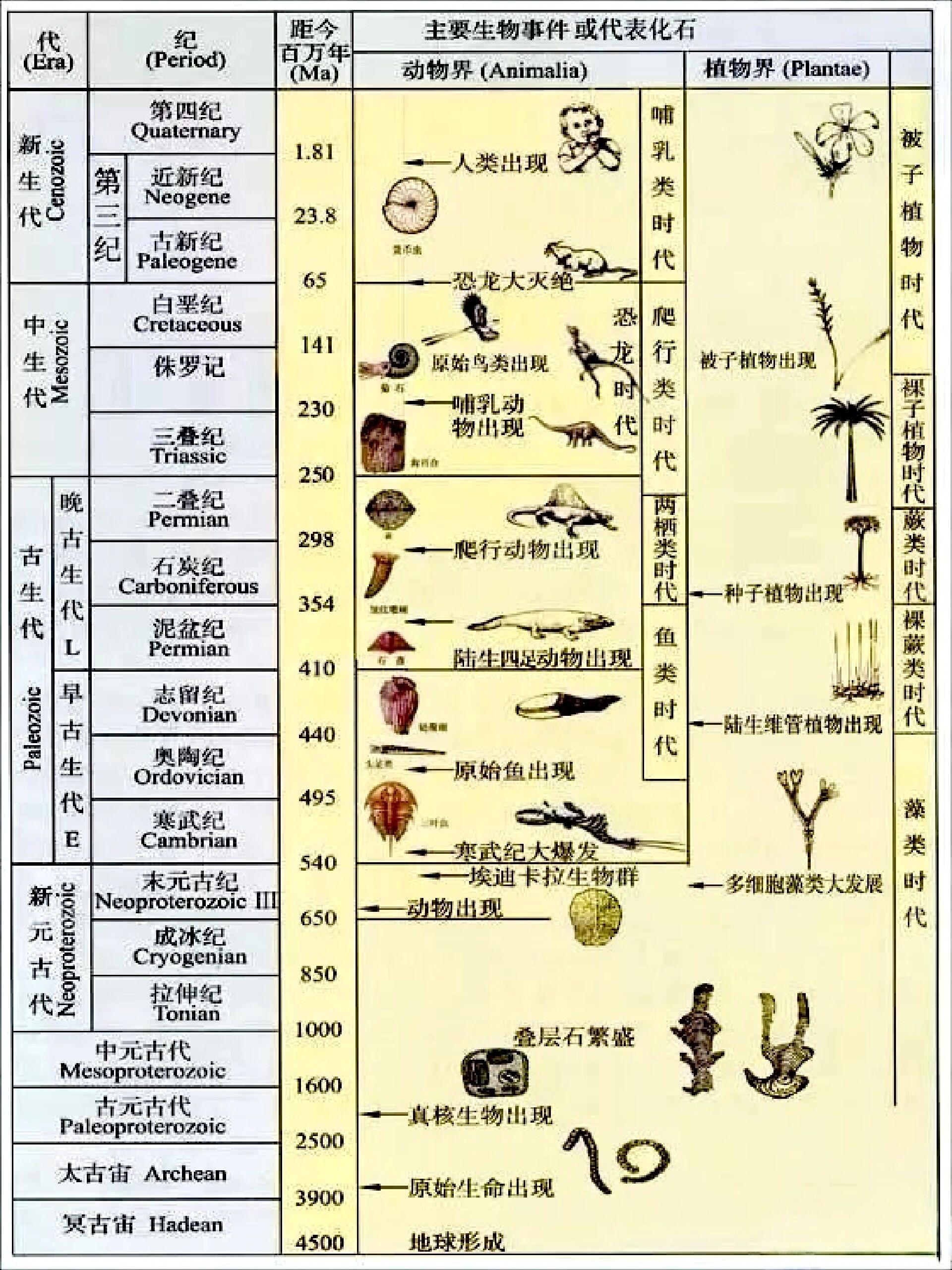 地质纪年图表图片