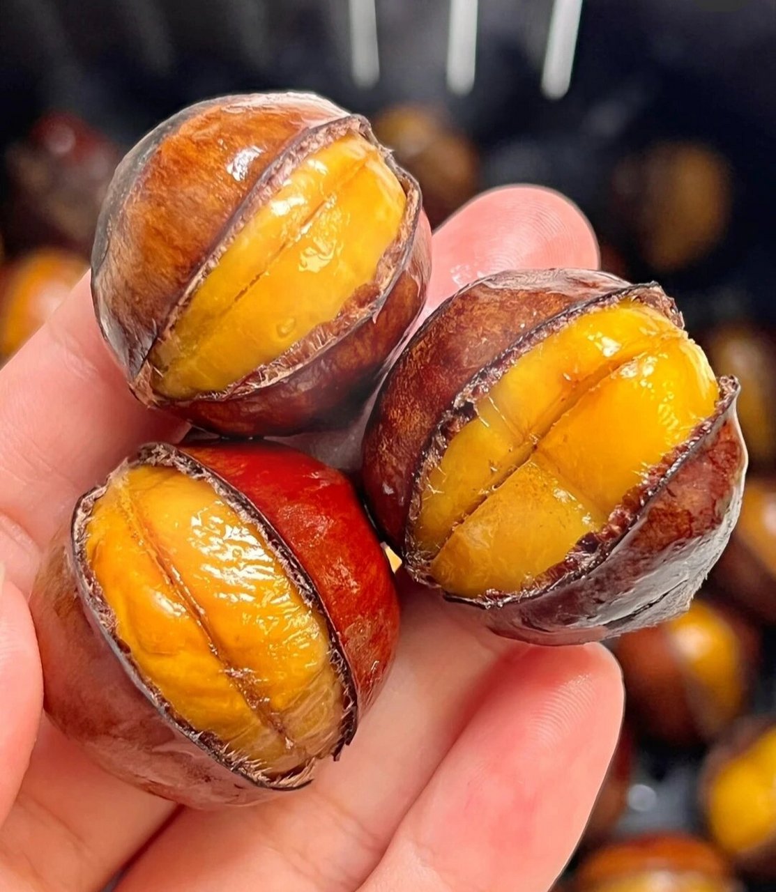 镇安特产————大板栗 家乡特产,镇安大板栗.