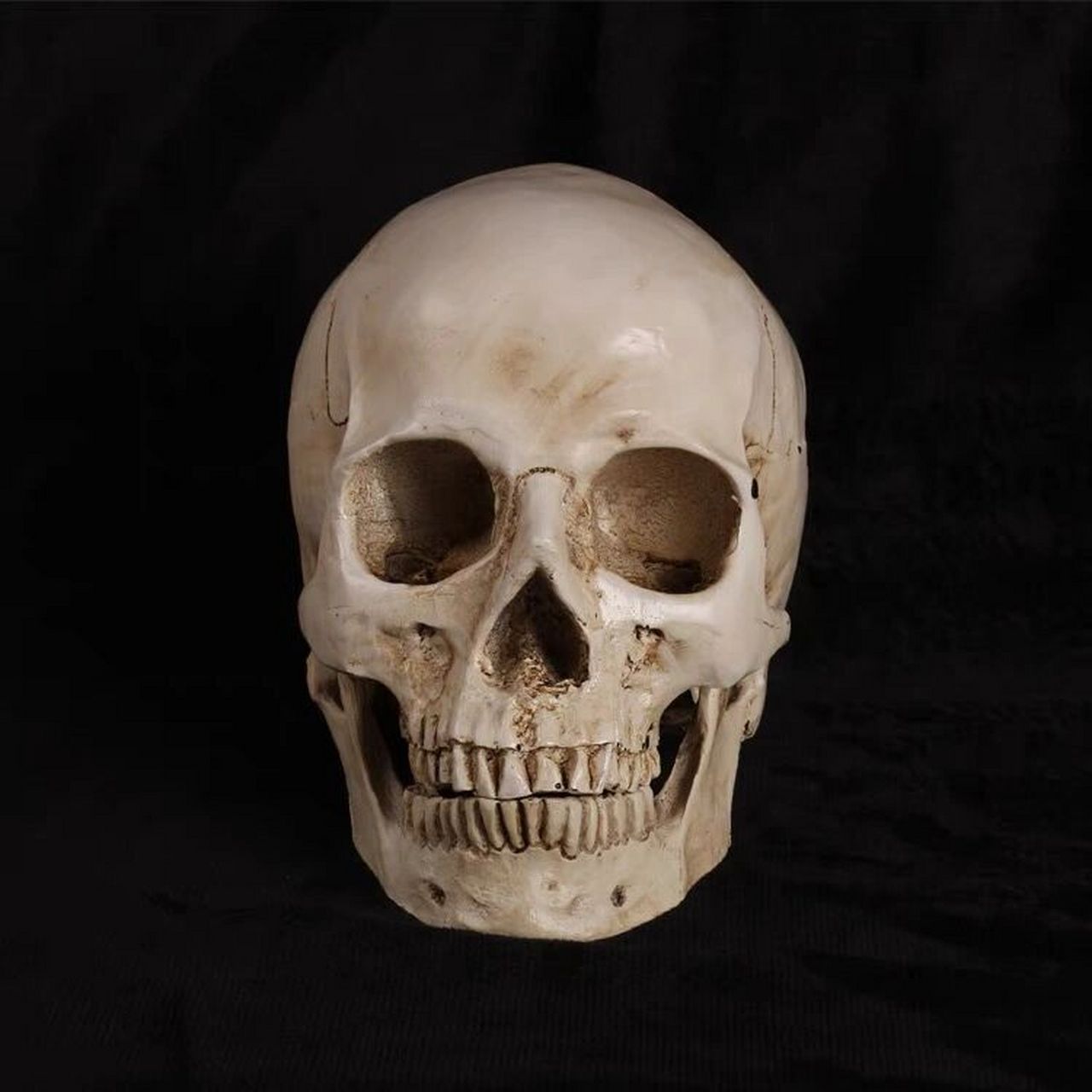 美术教学人物写生仿真骷髅艺用头骨解剖结构