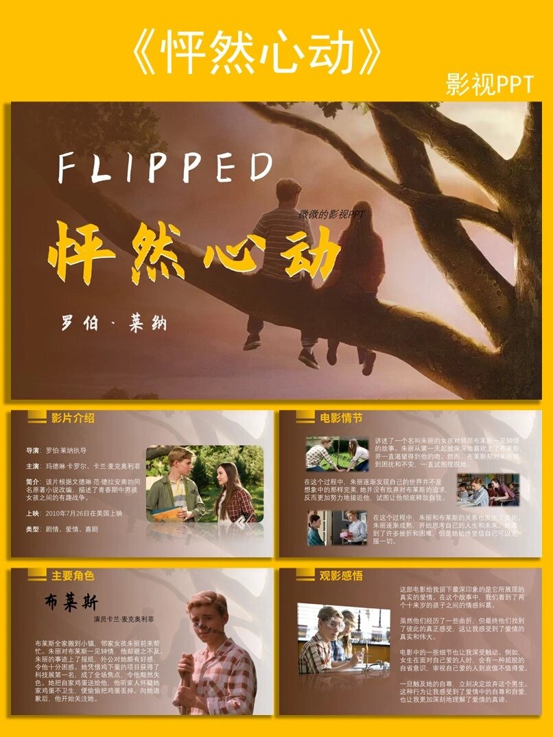 004高级感影视ppt|《怦然心动》观影分享