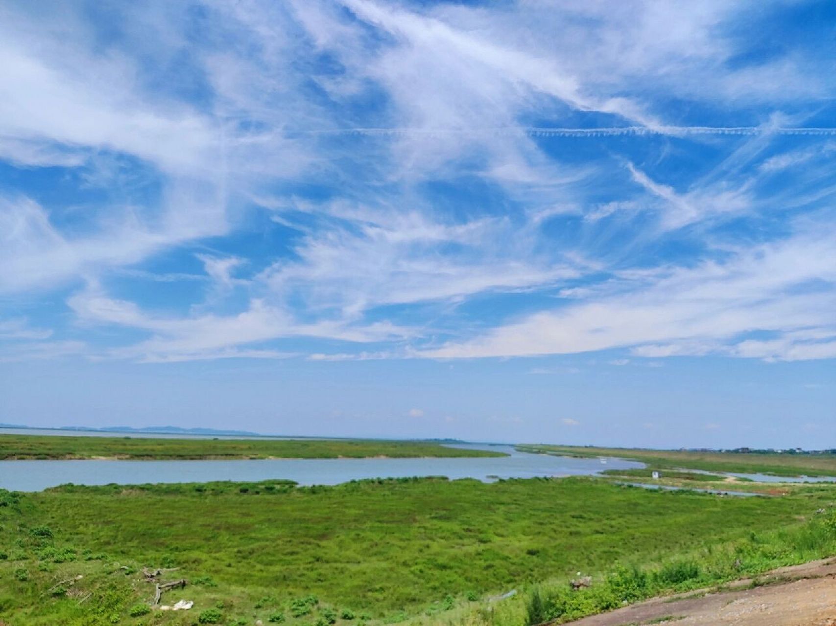鄱阳湖大草原 大草原, 不只内蒙有, 鄱阳湖里的草原, 是江南的浪漫!