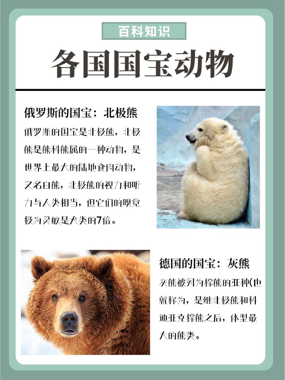 94大家都知道我们国家的国宝是可爱的大熊猫 71那其他国家的国宝