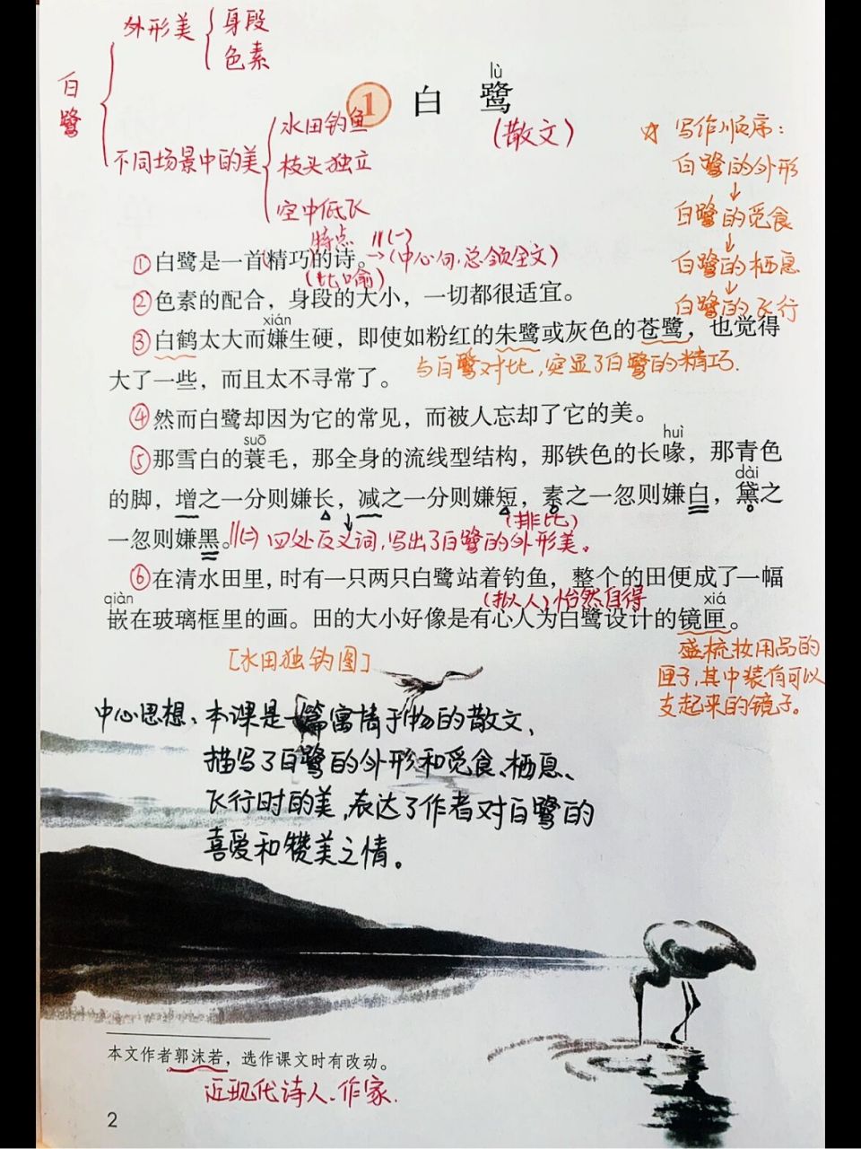 五年级语文上册第16615课《白鹭》 7815《白鹭》这篇课文的