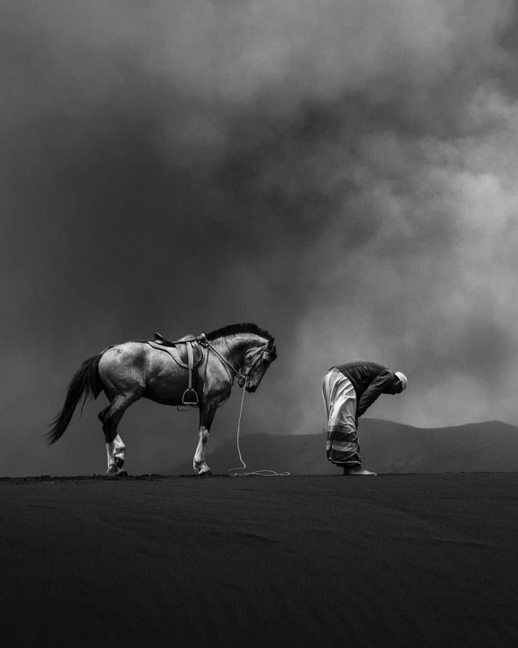 图片鉴赏94马&人-保护动物94审美累积 一组黑白色调图片鉴赏78
