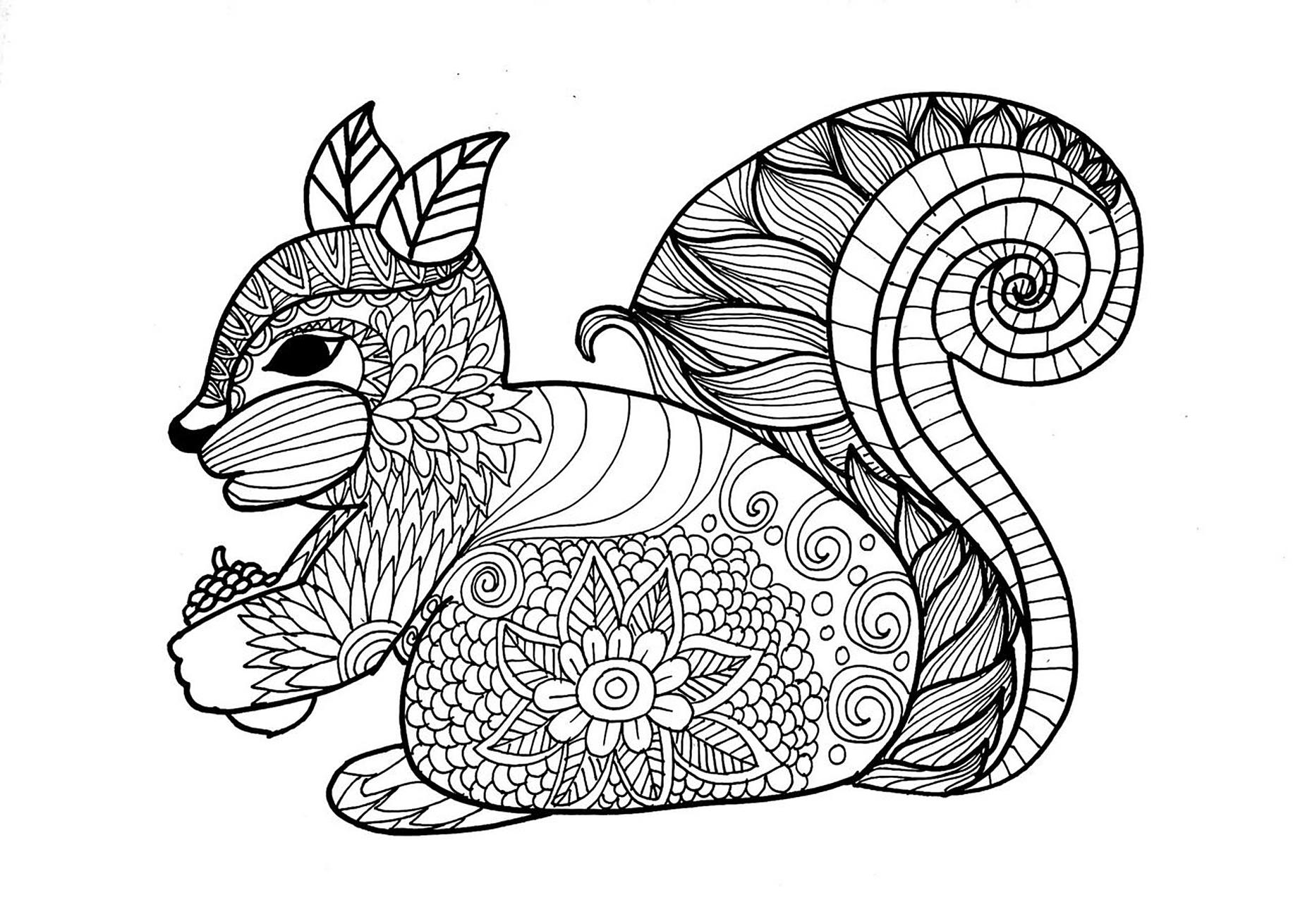 线描松鼠9715儿童画 材料:铅笔,橡皮,油性双头记号笔 铅笔打形,粗