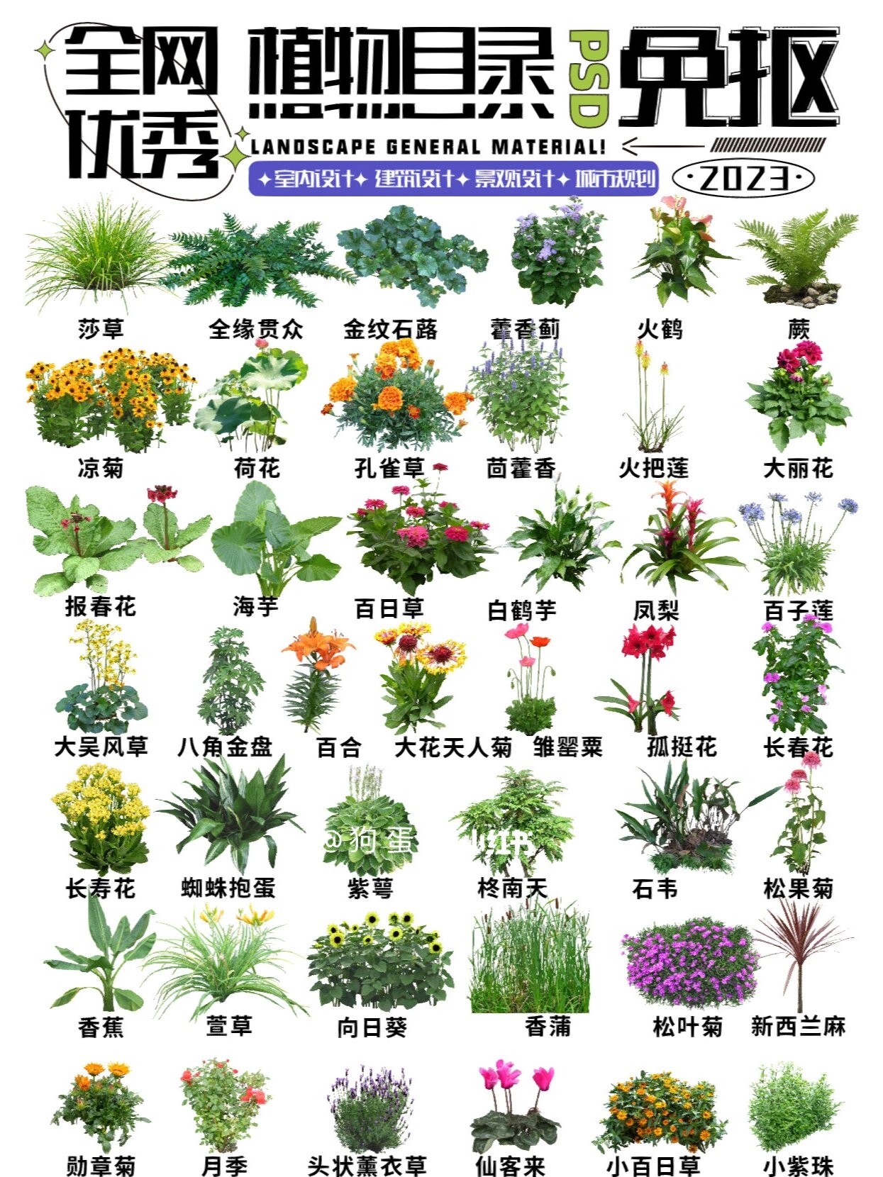 植物景观分析图片