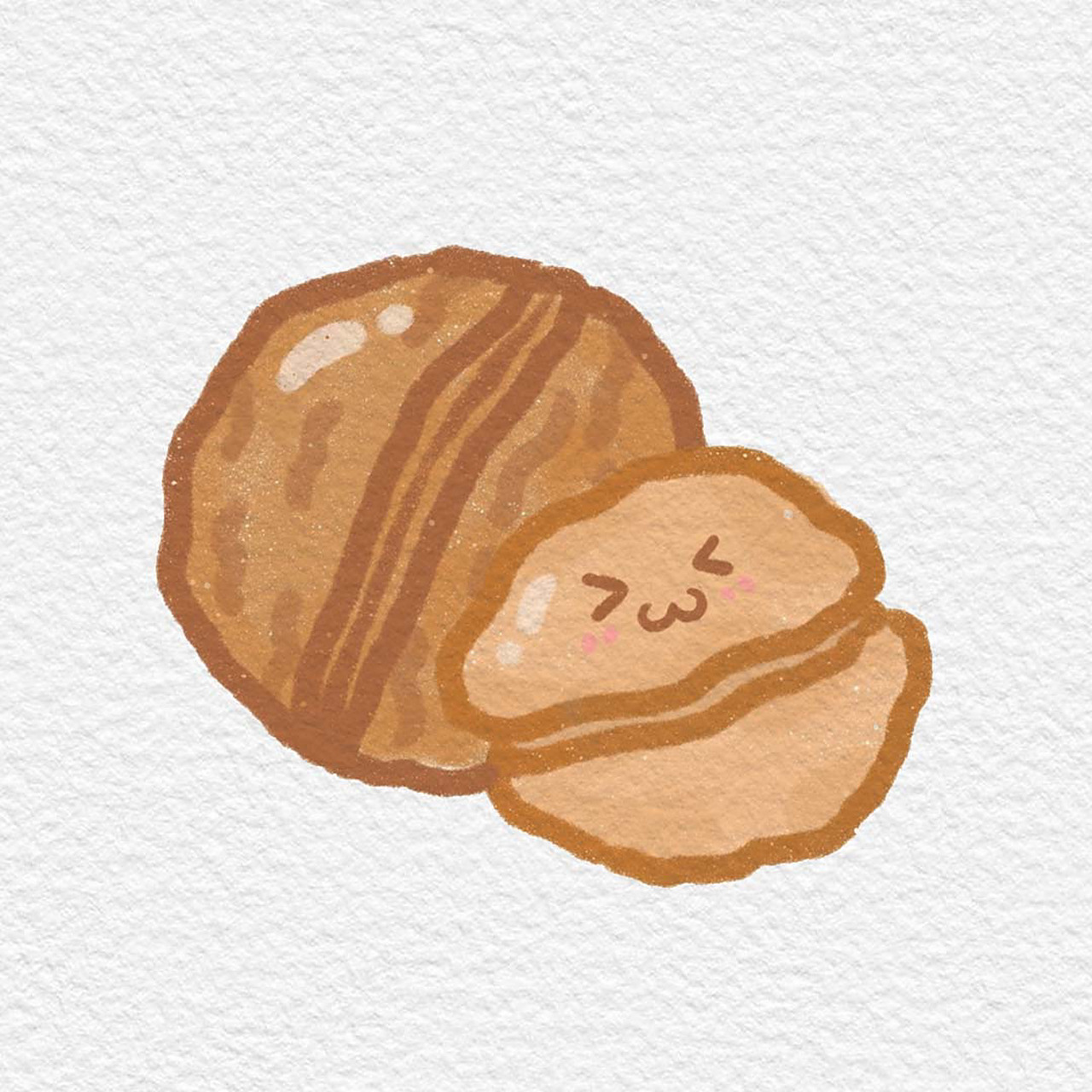 画画打卡day2|坚果系列|原创可爱简笔画 软件:procreate 笔刷:干油墨