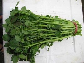 西洋菜(豆瓣菜,水田芥) 性味:甘,微寒,无毒. 归经:入肺.