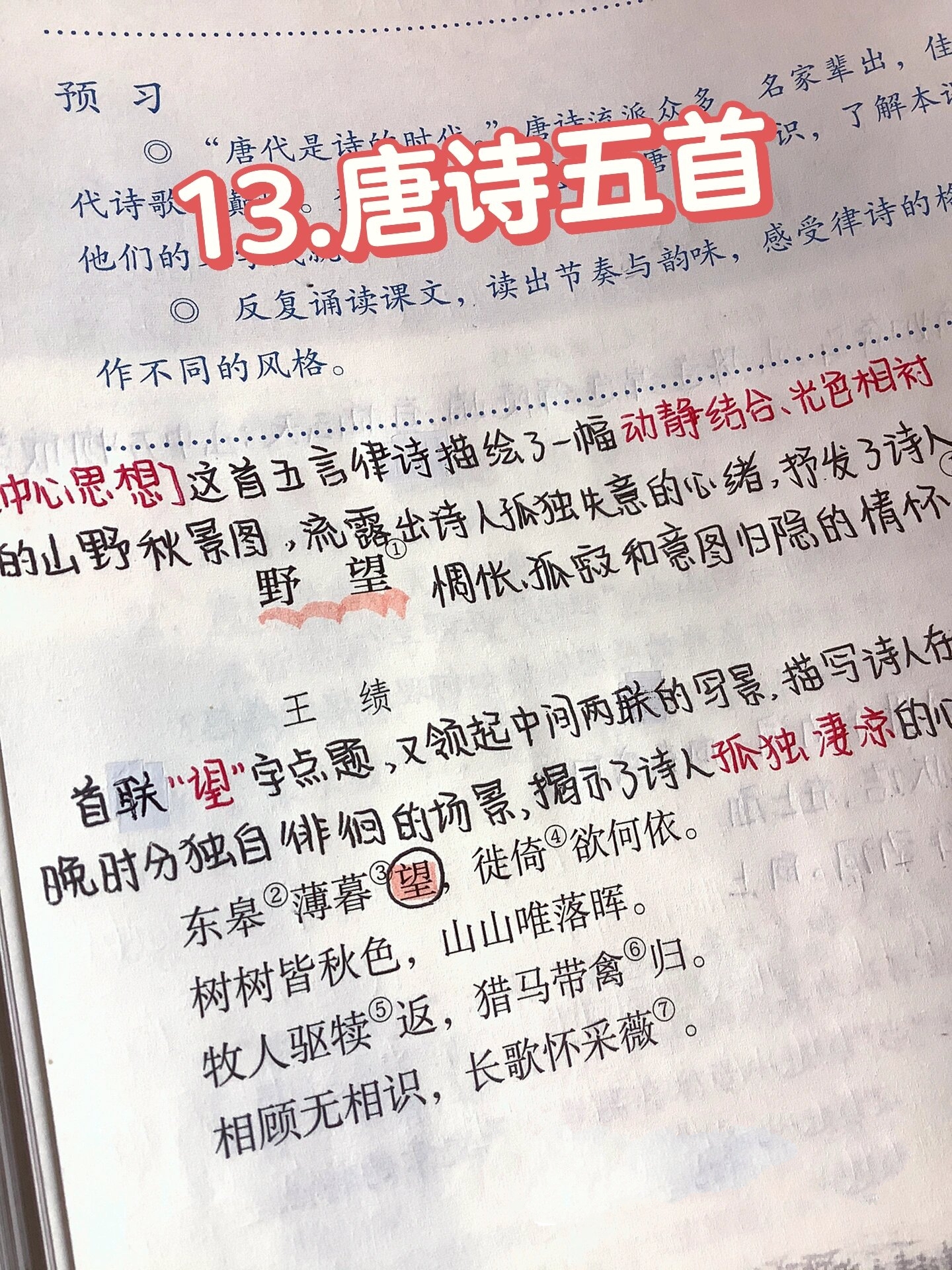 八年级上册|语文|第13课 八年级上册语文第1661536615课 唐诗