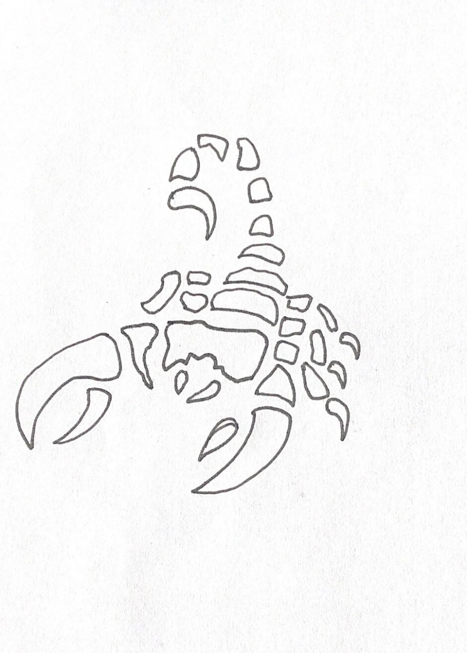 蝎子怎么画画法图片