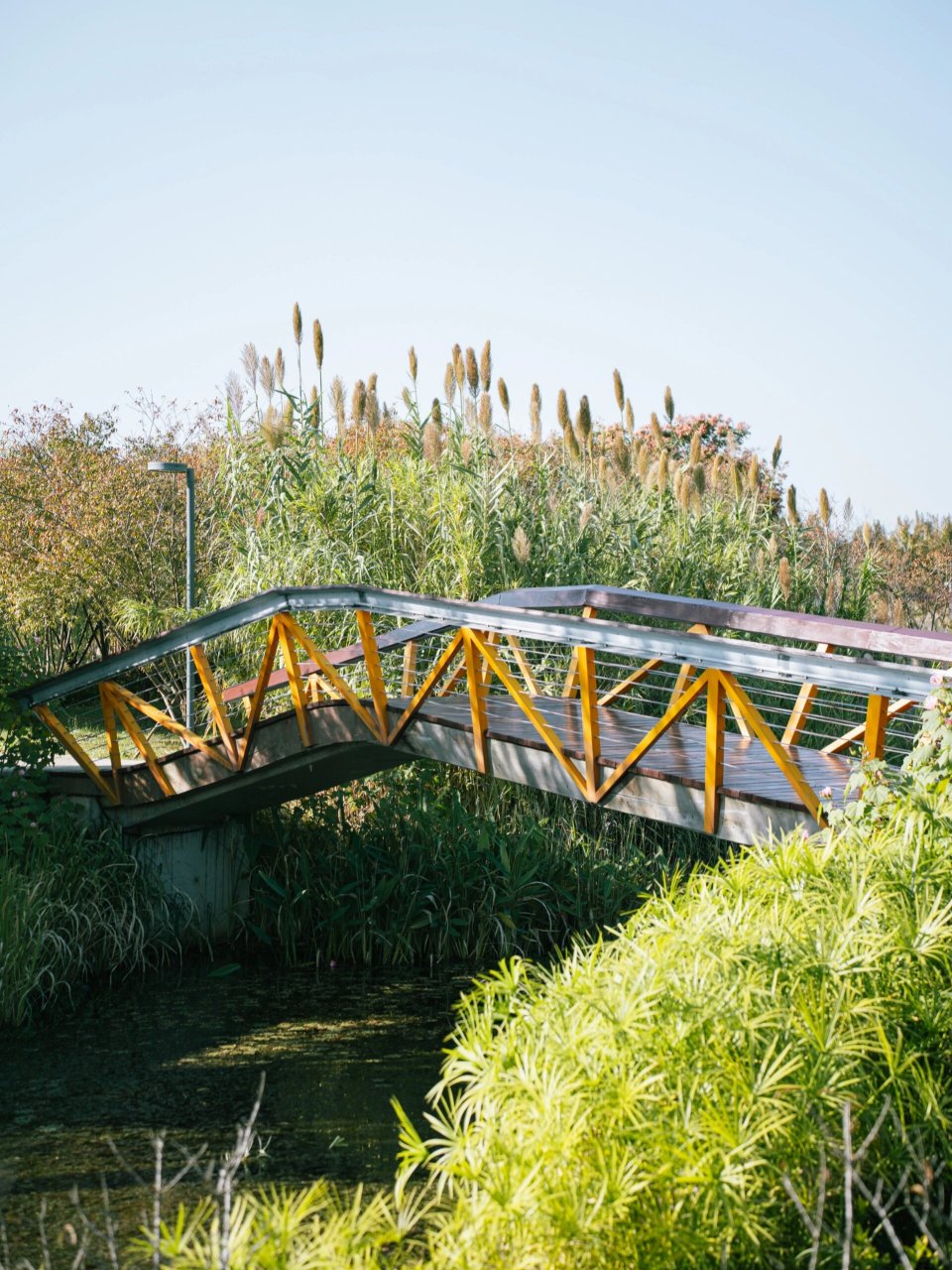 位于杨舍城区和塘桥城区之间的黄泗浦生态公园,不仅地处"风水宝地"