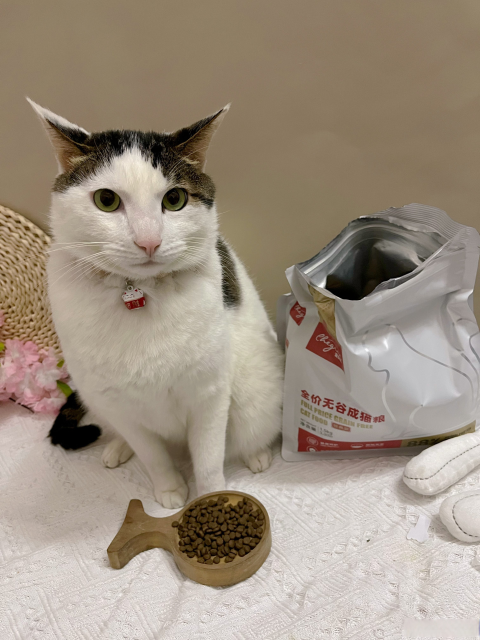 小猫咪:这个八字中分刘海不错吧.  #萌宠##喵星人