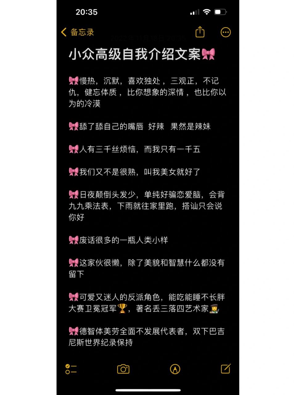 小众又高级的自我介绍文案96        96慢热,沉默,喜欢独处 ,三观
