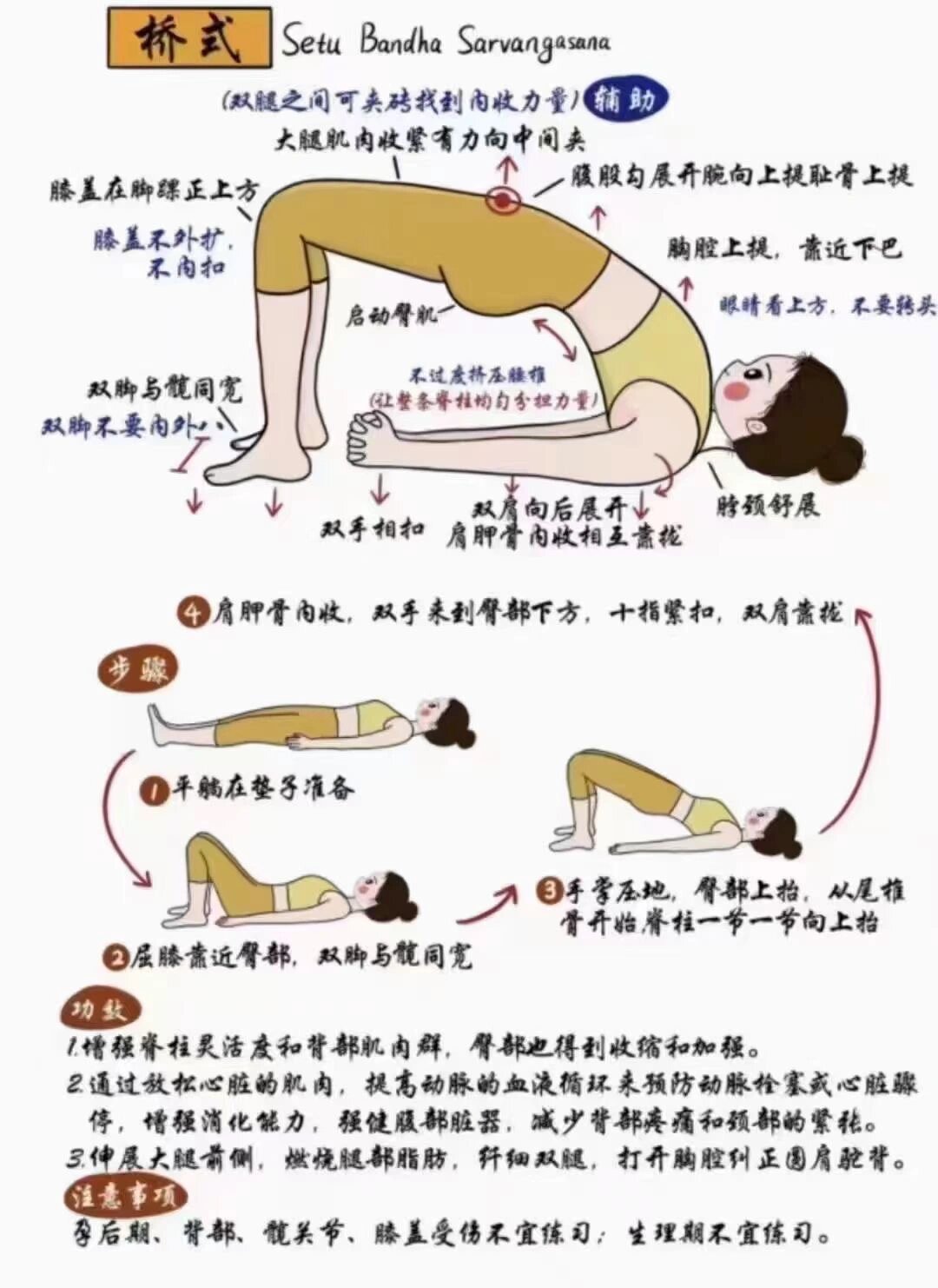 拱桥运动正确姿势飞燕图片