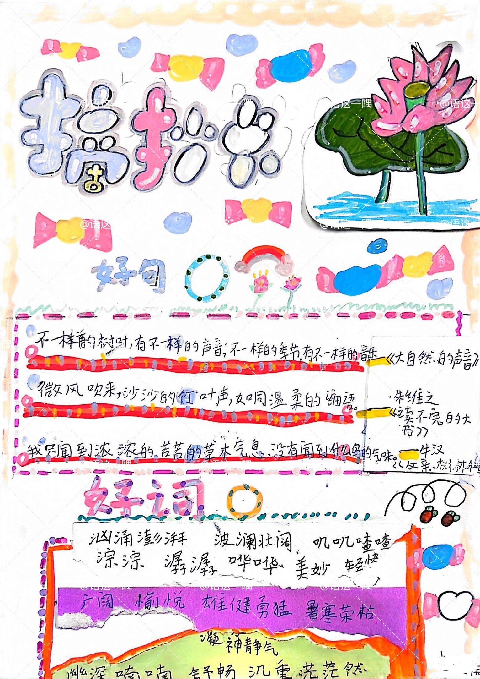 我们的"摘抄卡"97——三上第七单元