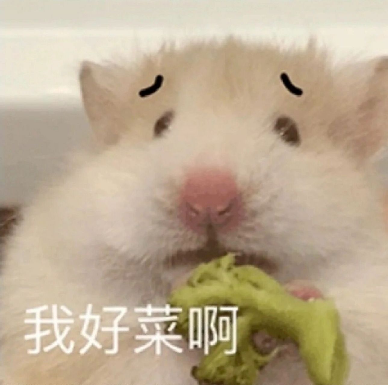 幼儿园自信小孩临摹 我好菜呀,呜呜呜呜 原创: 路过的手就闲一闲点个