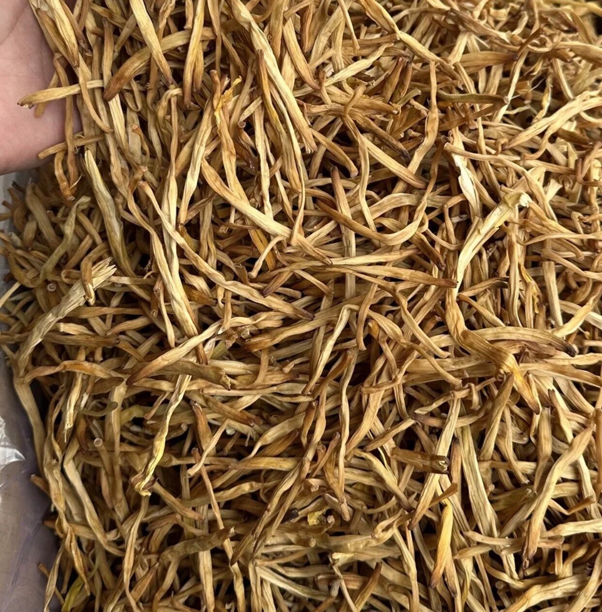 金针花这种植物,亦名「忘忧草」,所以有人说,食金针菜可令人快乐忘忧