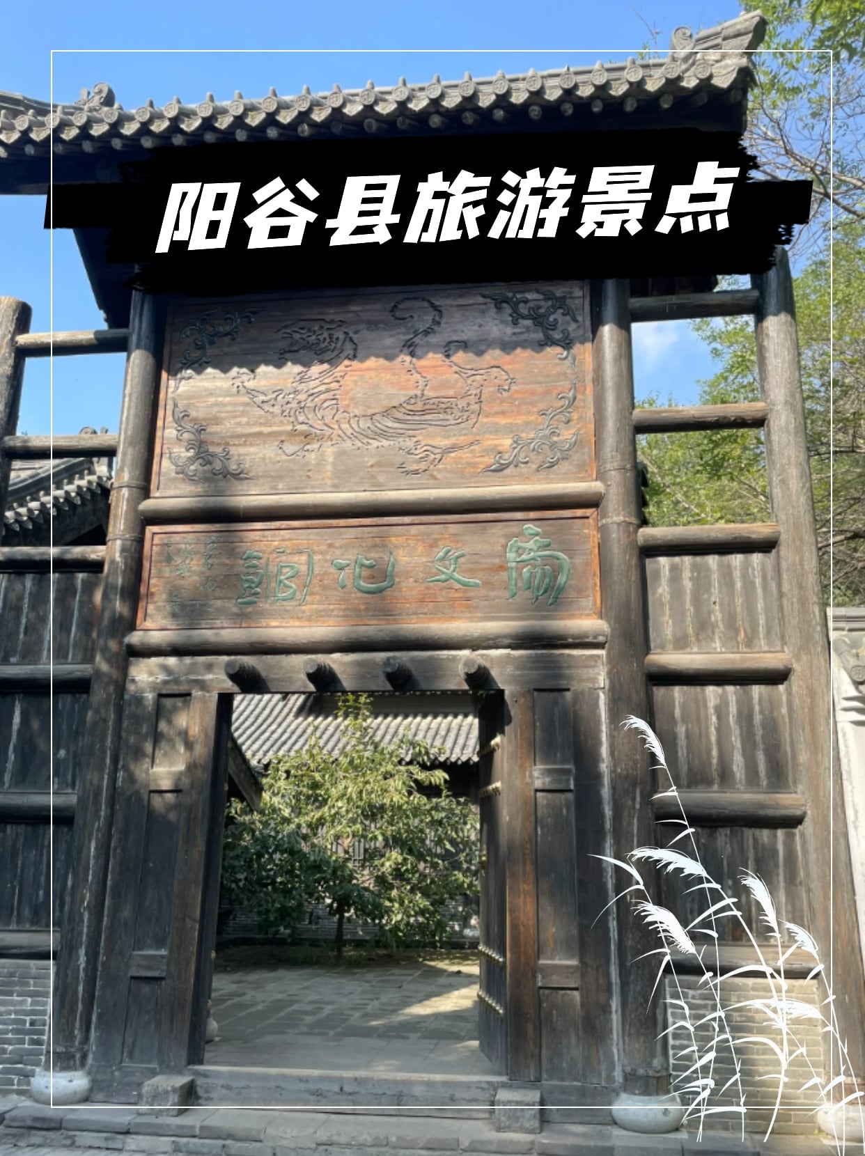 阳谷县旅游景点