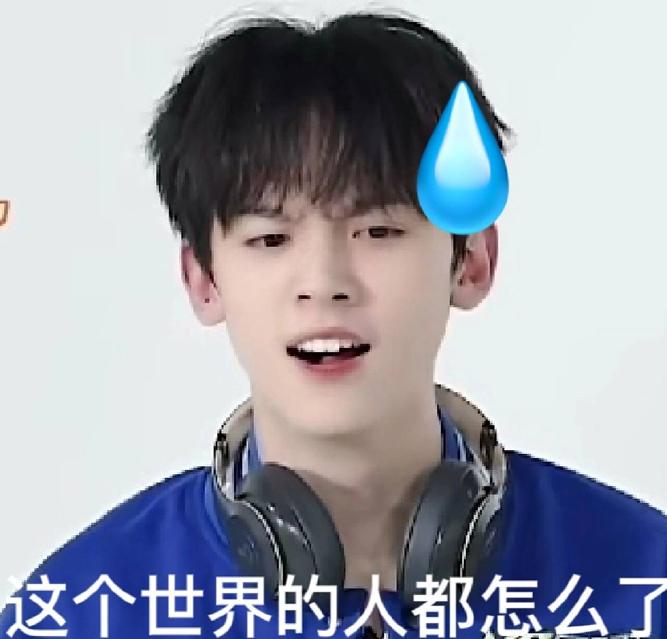 左航表情包76 哈哈哈哈哈哈哈哈哈