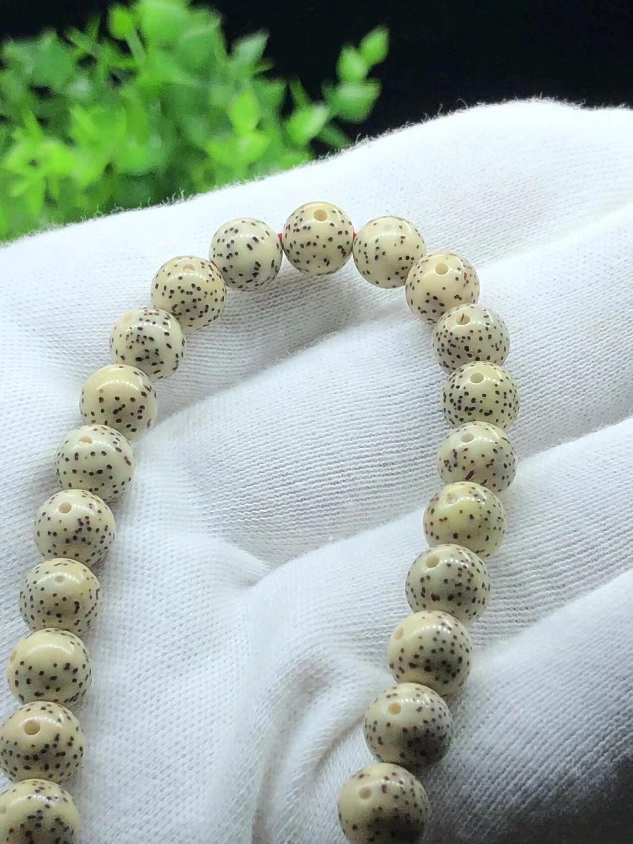 星月菩提圆珠手持,骨瓷质感,品相好