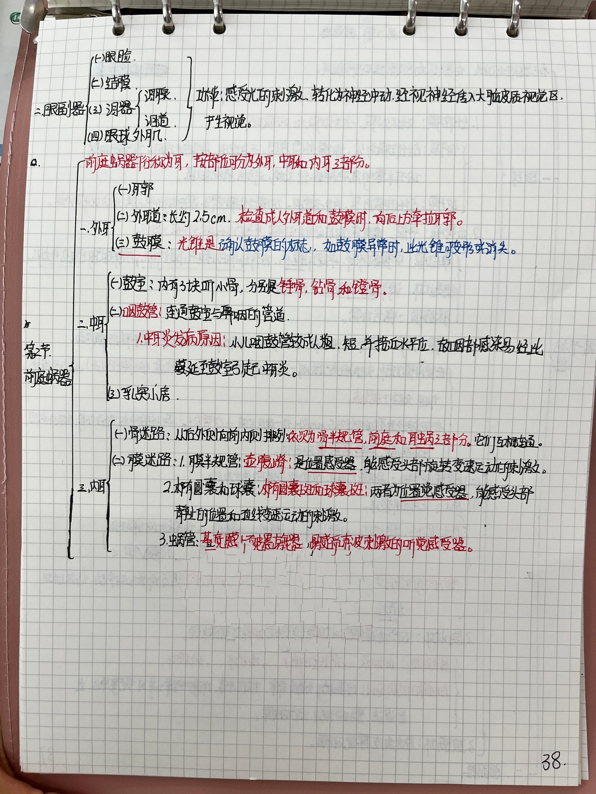 第八章 感觉器 思维导图 解剖学感觉器思维导图