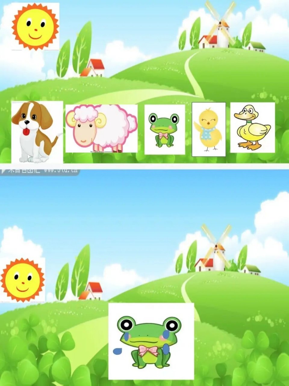 🌈幼儿园公开课‖幼教必备《小青蛙回家》 🔥教案➕ppt➕课件