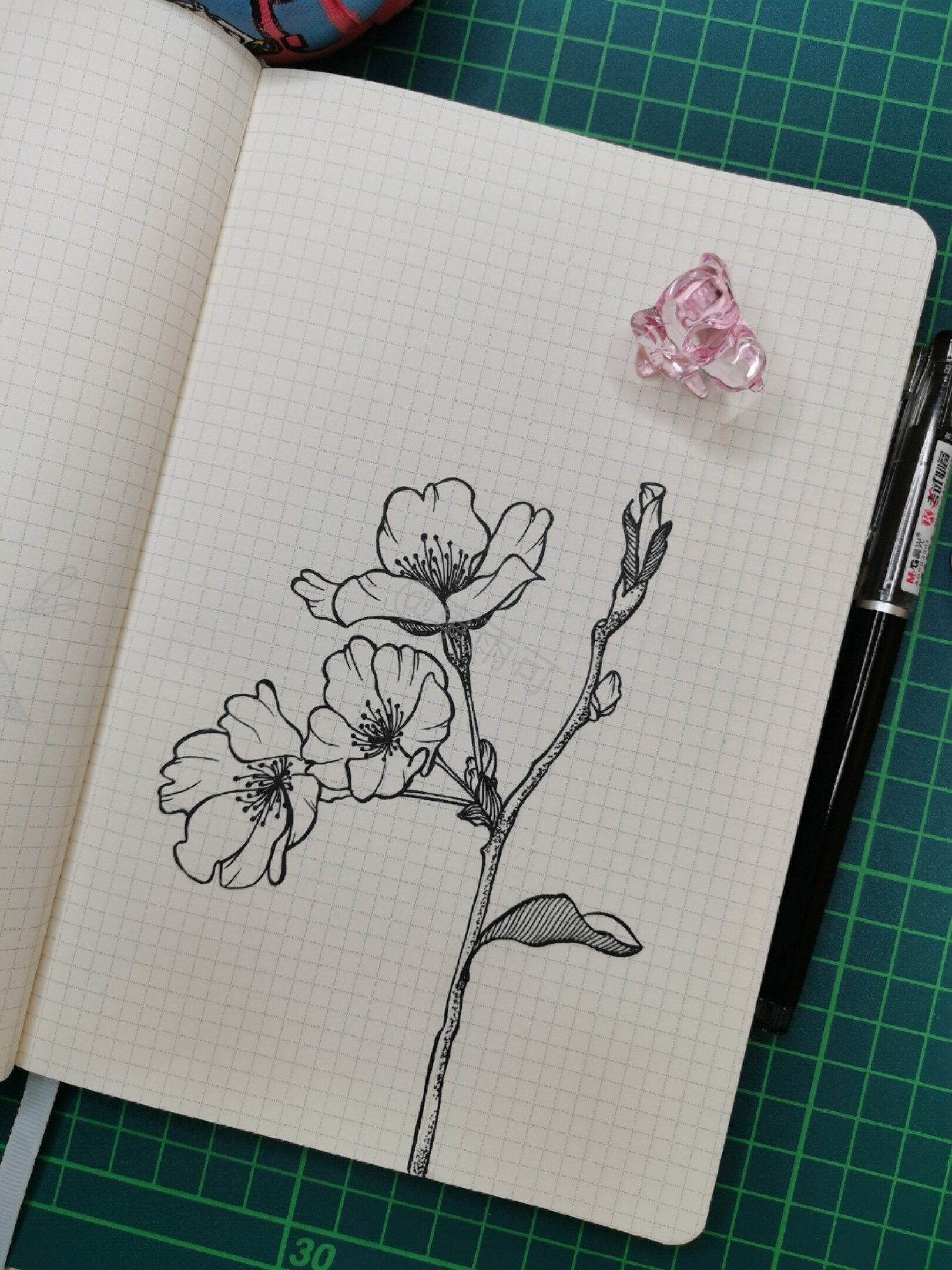 🍒针管笔手绘练习no.96