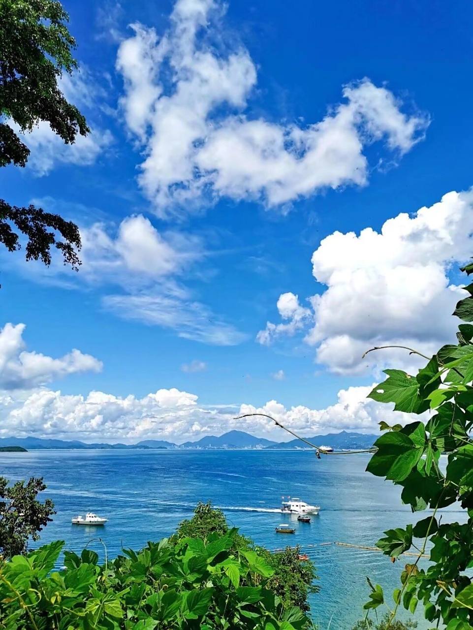 2021年拍到的最美照片 我曾跨过山河大海 也穿过人山人海 川北的大美