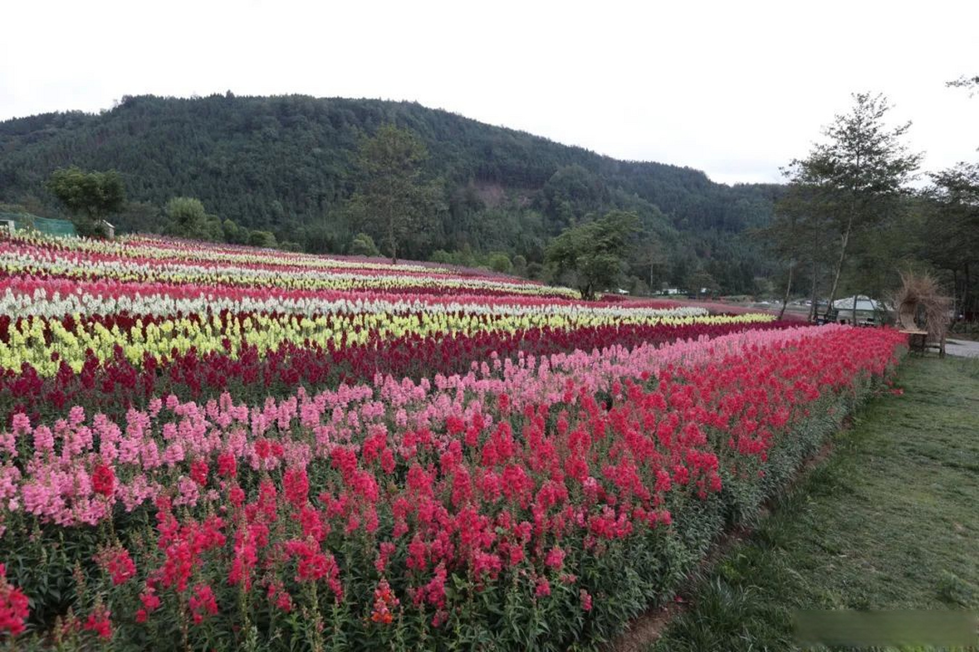 腾冲归云庄简介图片