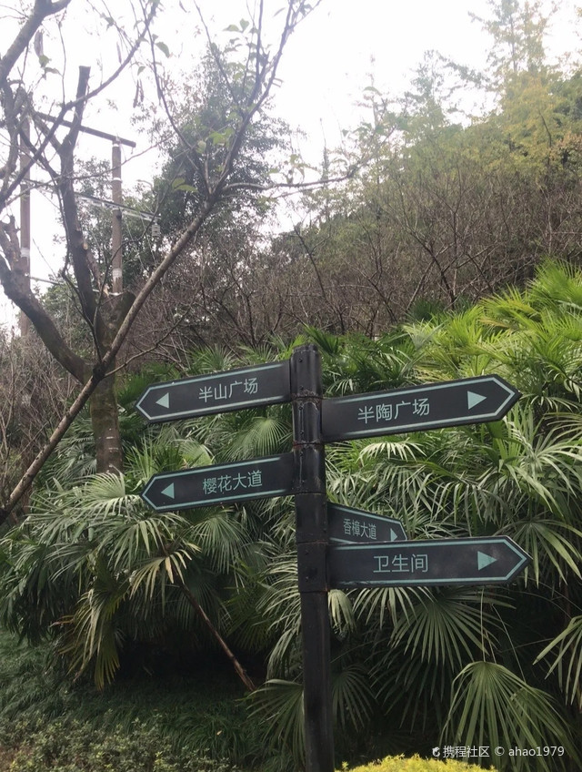 九龙坡区攻略|打卡重庆九龙坡半山公园