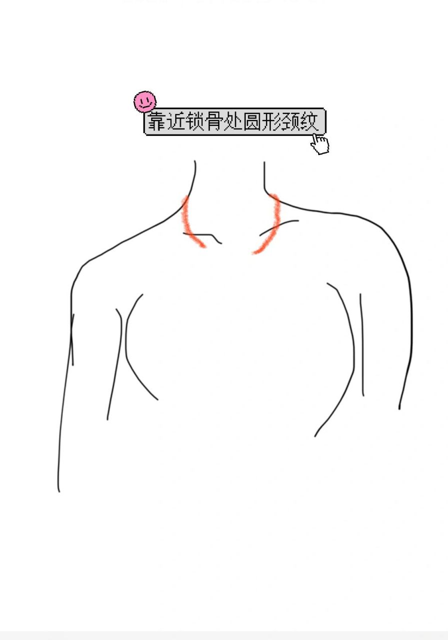 红色我标画的那个就是,锁骨处半圆形颈纹,感觉像个无形的项圈颈01