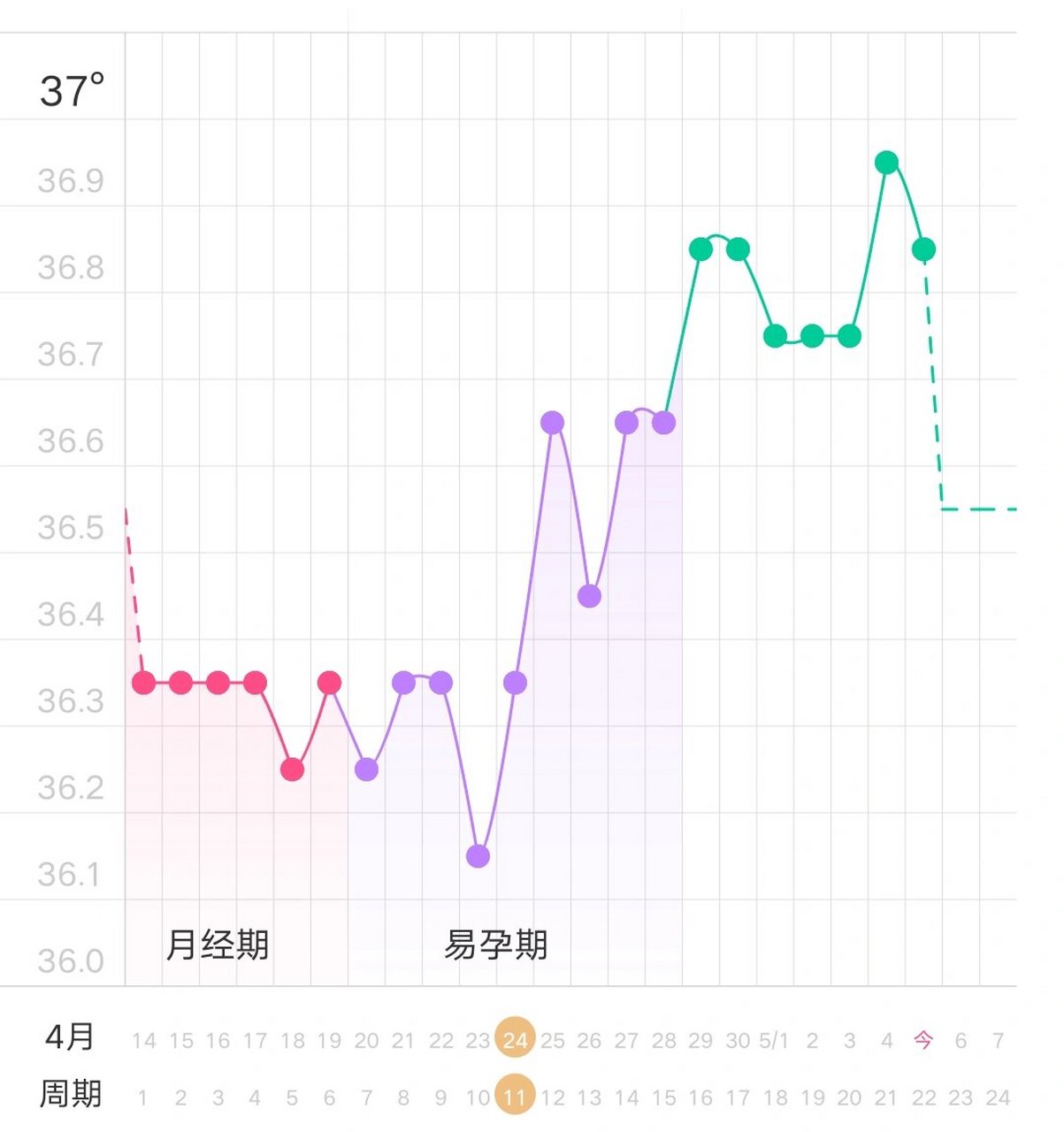 排卵后七天着床情况图图片