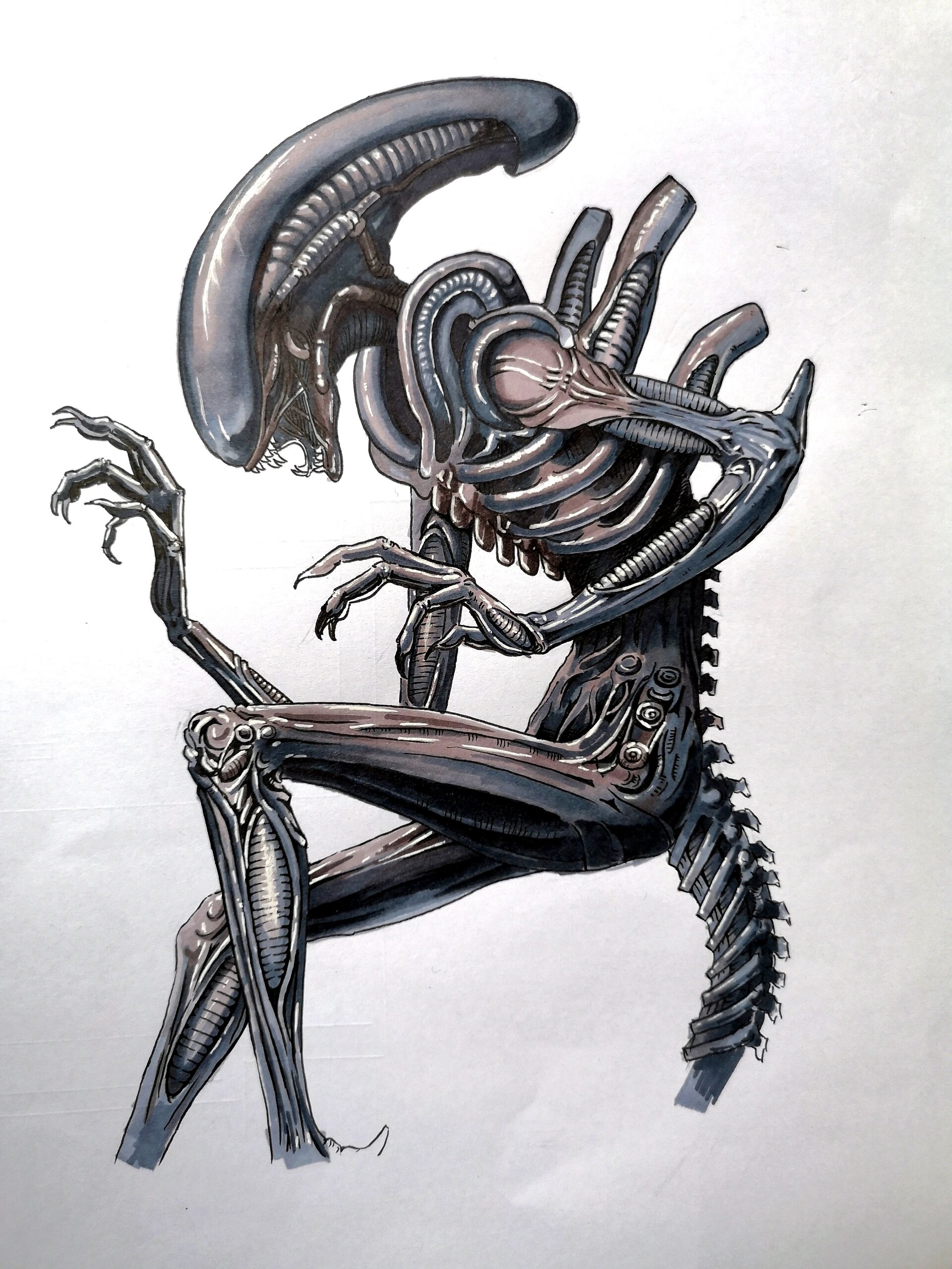 马克笔手绘异形