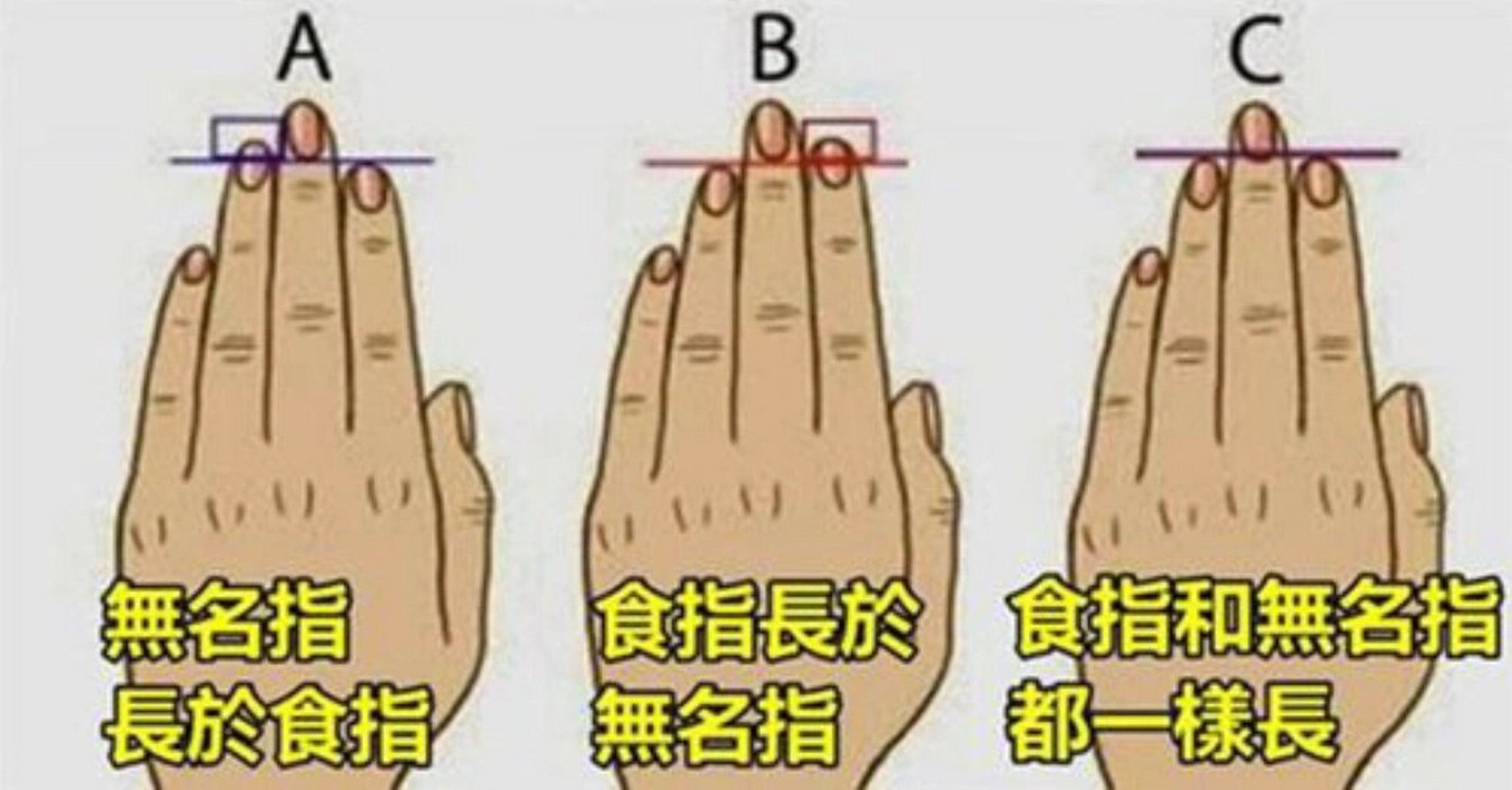 看了一下我的是食指比无名指差不多长,我老公是食指比无名指长很多