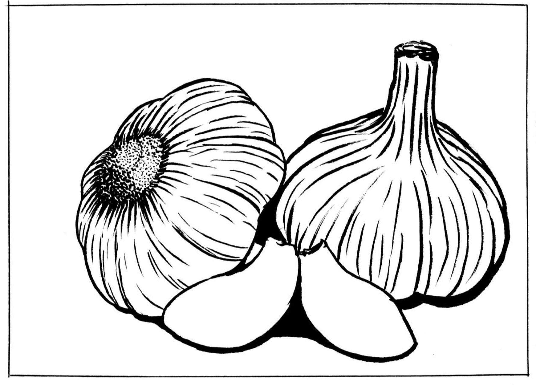 大蒜写生#大蒜线描画#蔬菜写生#创意美术 《大蒜写生》 适合年龄:8岁