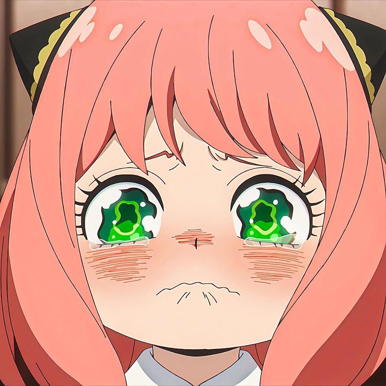 阿尼亚头像,哭~ wakuwaku