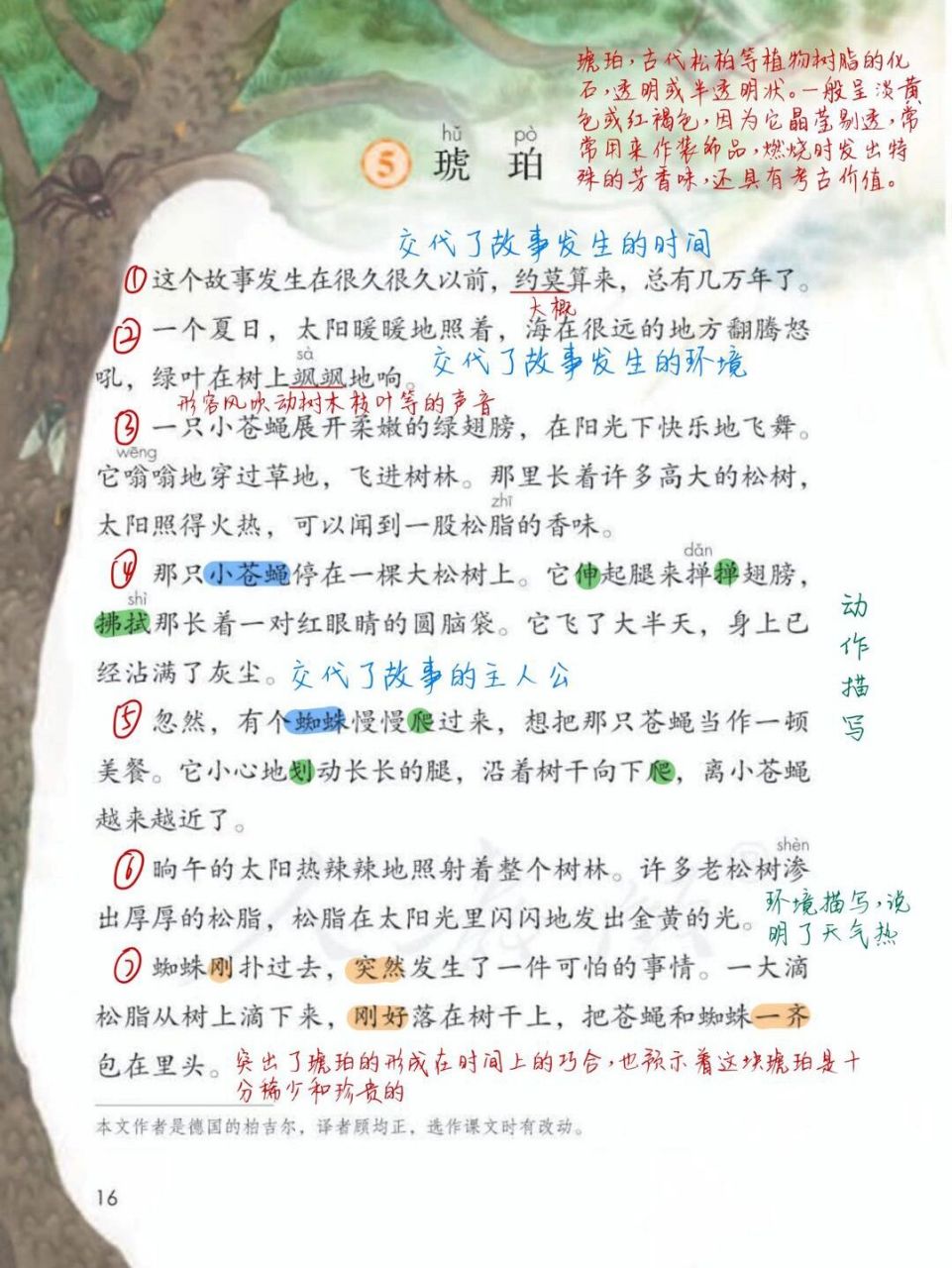 读课文,边读边圈出生字 2.生字口头组词,不会的查阅字典 3.